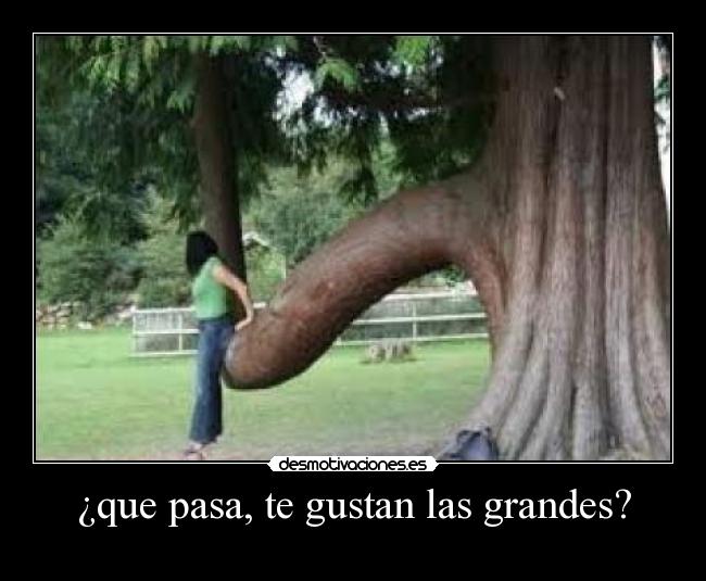 ¿que pasa, te gustan las grandes? -