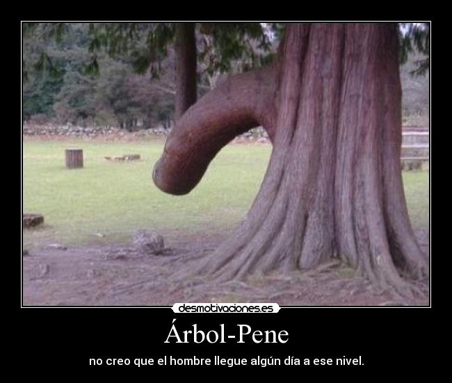 Árbol-Pene - no creo que el hombre llegue algún día a ese nivel.