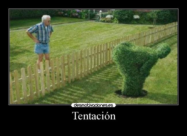 carteles  desmotivaciones