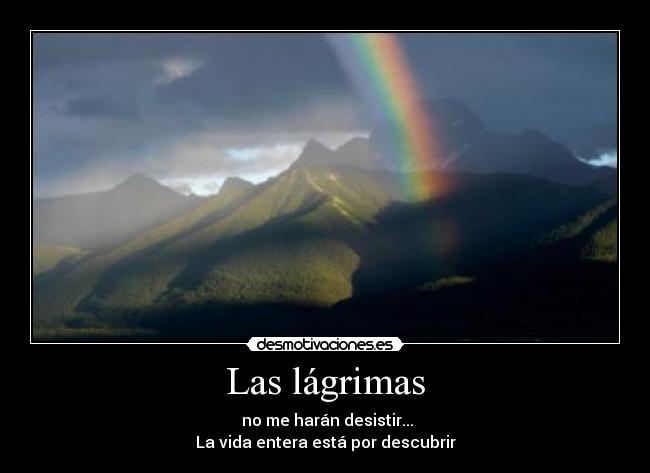 carteles libertaria desmotivaciones