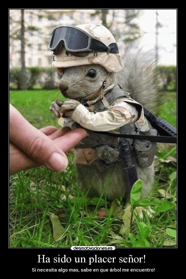 Ha sido un placer señor!  - 