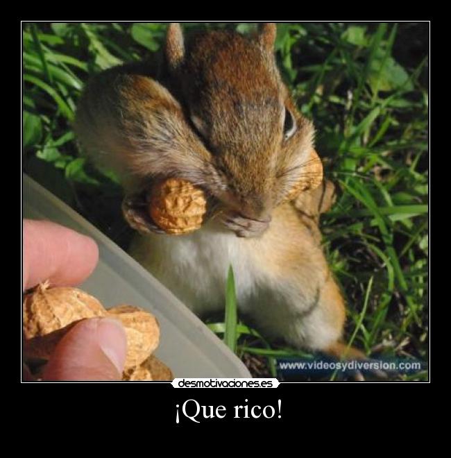 ¡Que rico! - 