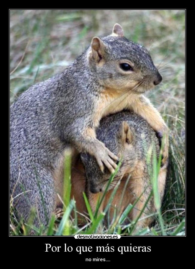 Por lo que más quieras - no mires....