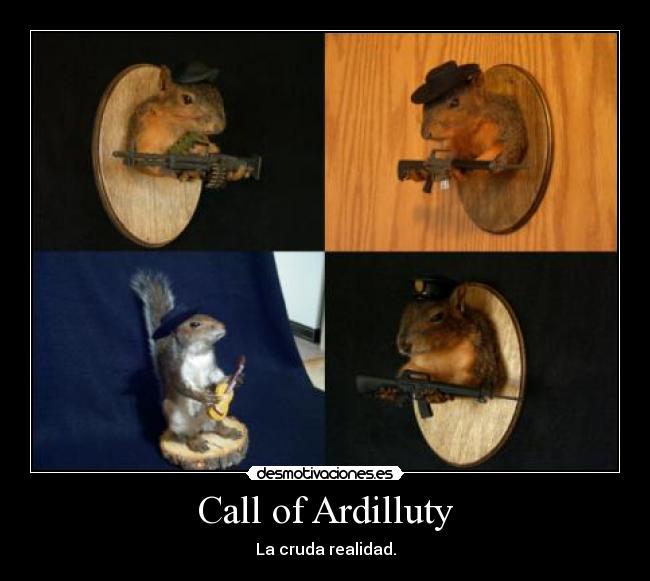 Call of Ardilluty -
