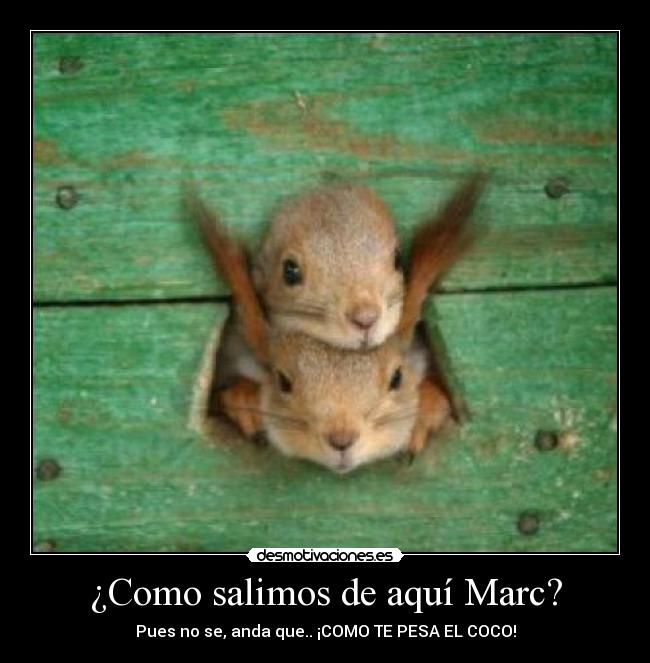 ¿Como salimos de aquí Marc? - Pues no se, anda que.. ¡COMO TE PESA EL COCO!
