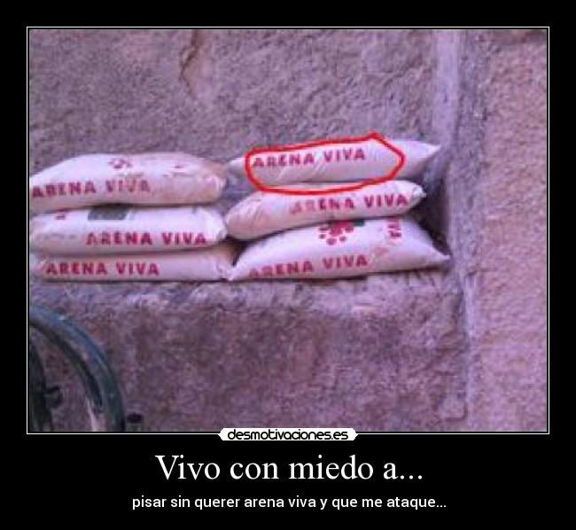 Vivo con miedo a... - 