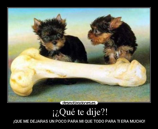 ¡¿Qué te dije?! -