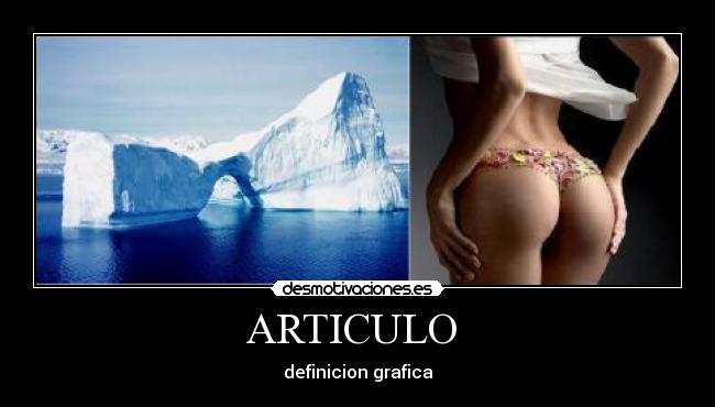 ARTICULO  - 