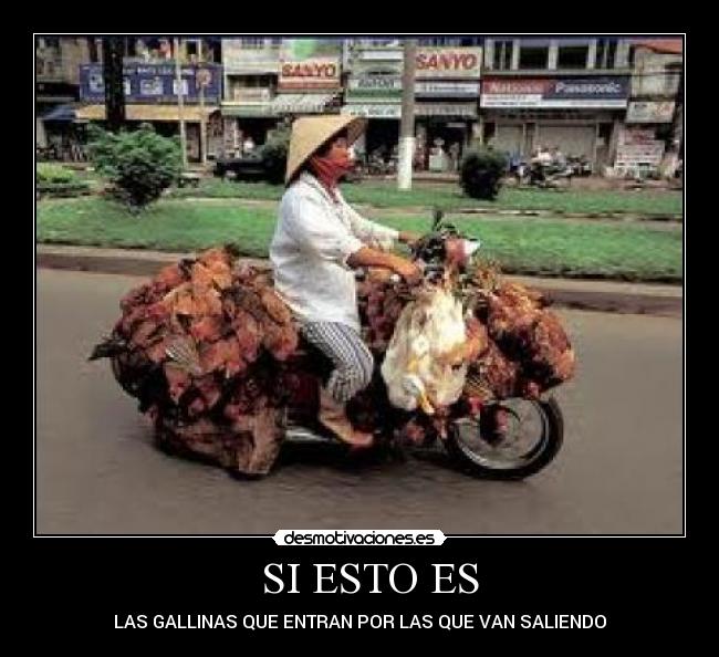 SI ESTO ES - LAS GALLINAS QUE ENTRAN POR LAS QUE VAN SALIENDO
