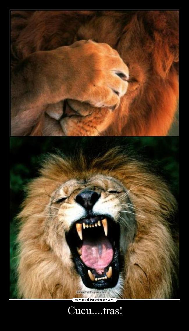 Cucu....tras! -