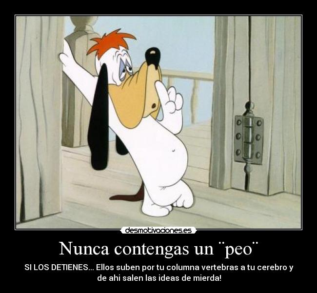 Nunca contengas un ¨peo¨ -