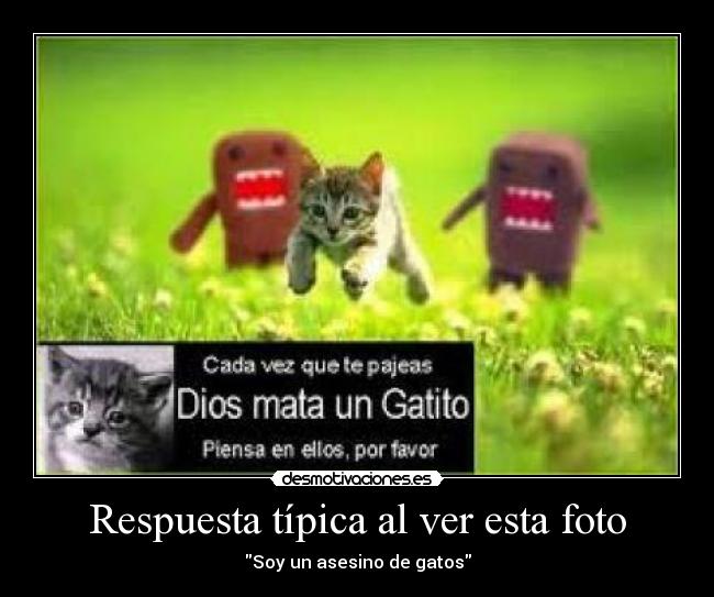 Respuesta típica al ver esta foto -