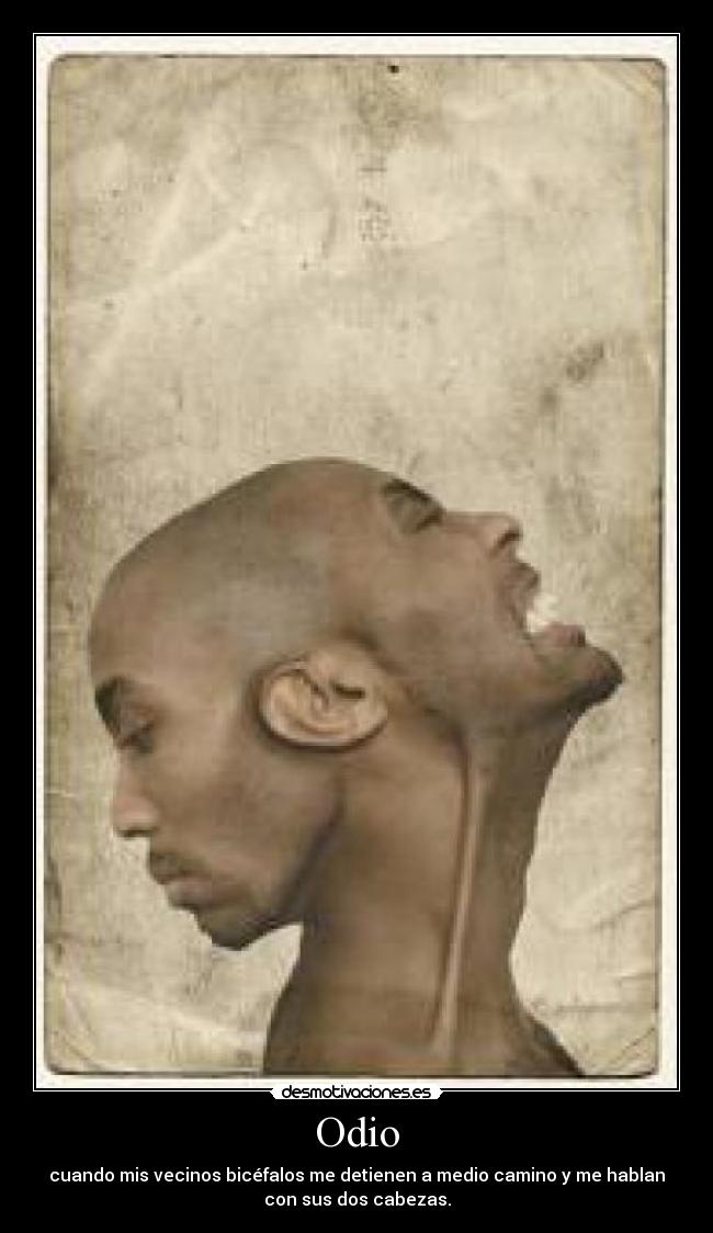 Odio - 