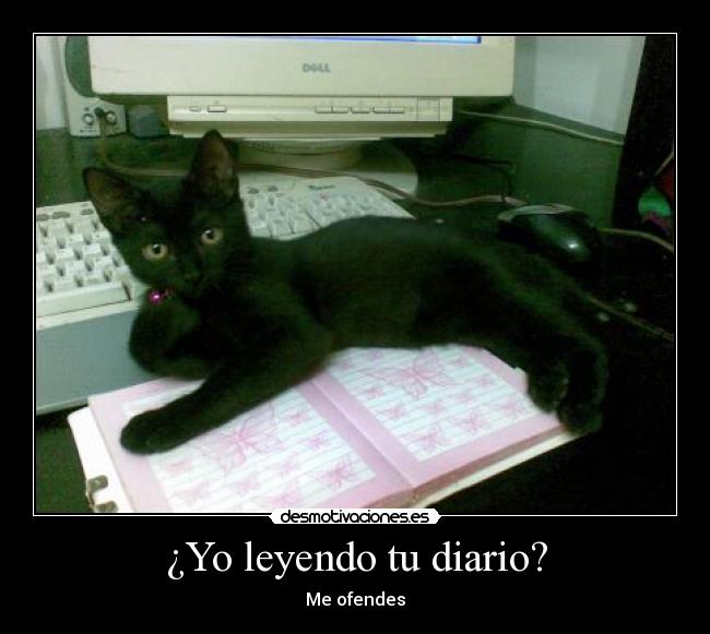 ¿Yo leyendo tu diario? -