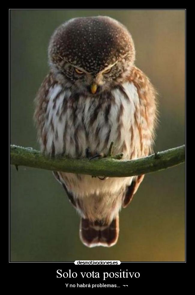 Solo vota positivo -