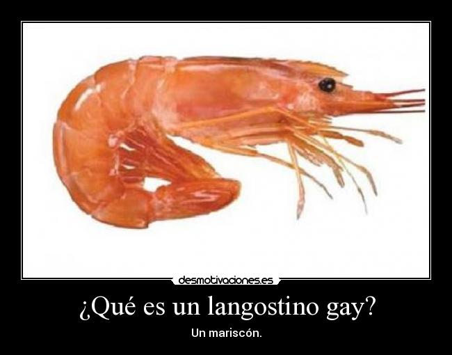 carteles desmotivaciones