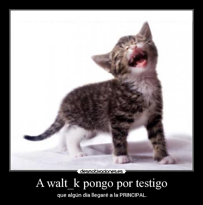 A walt_k pongo por testigo - 