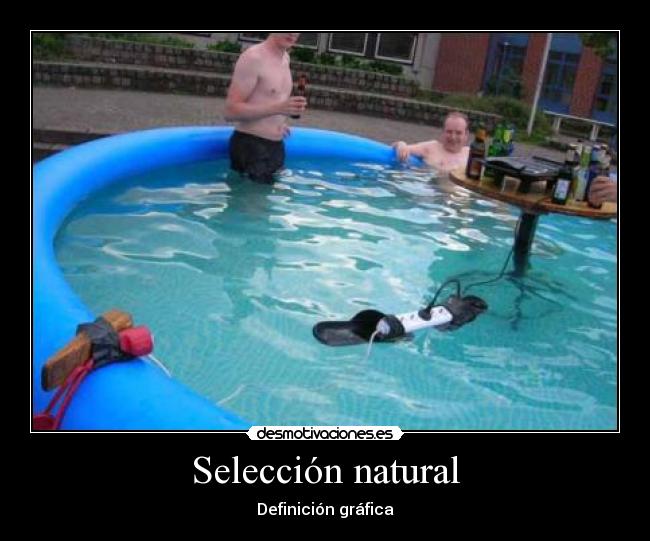 Selección natural - 