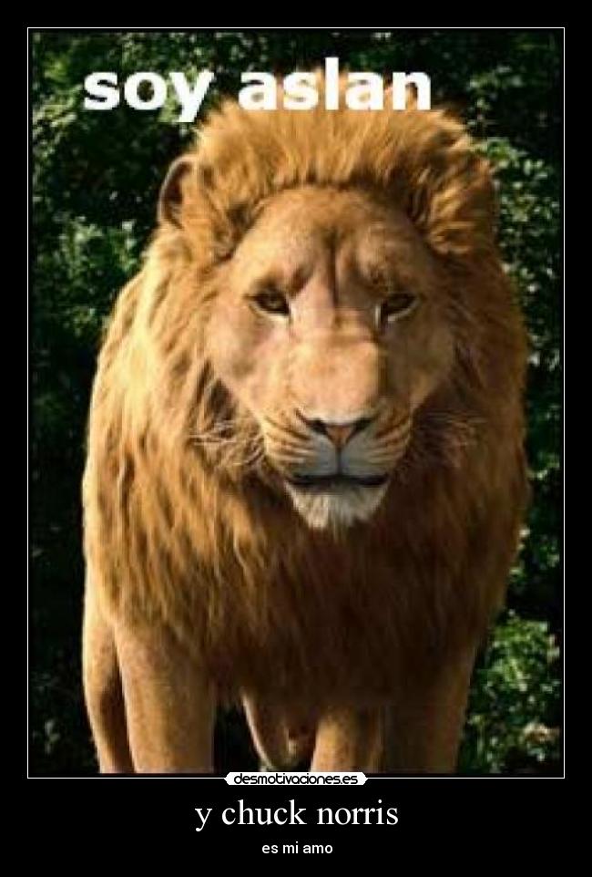 y chuck norris -