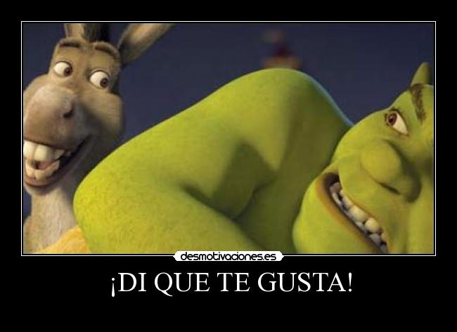 ¡DI QUE TE GUSTA! - 