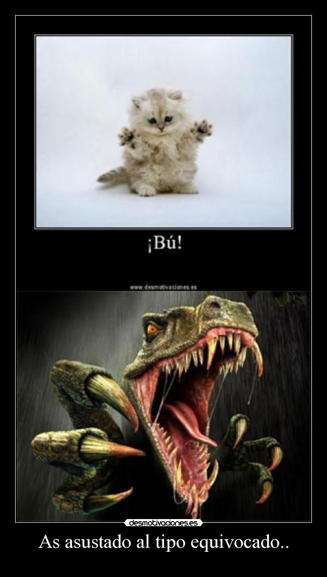 As asustado al tipo equivocado.. -