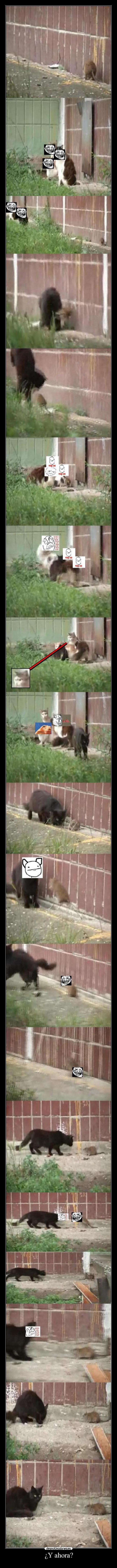 carteles luckylucifer desmotivaciones