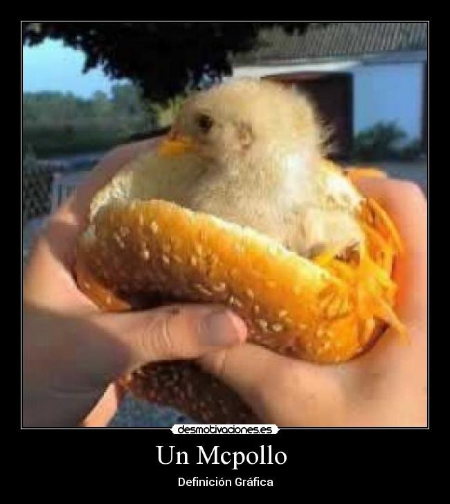 Un Mcpollo -