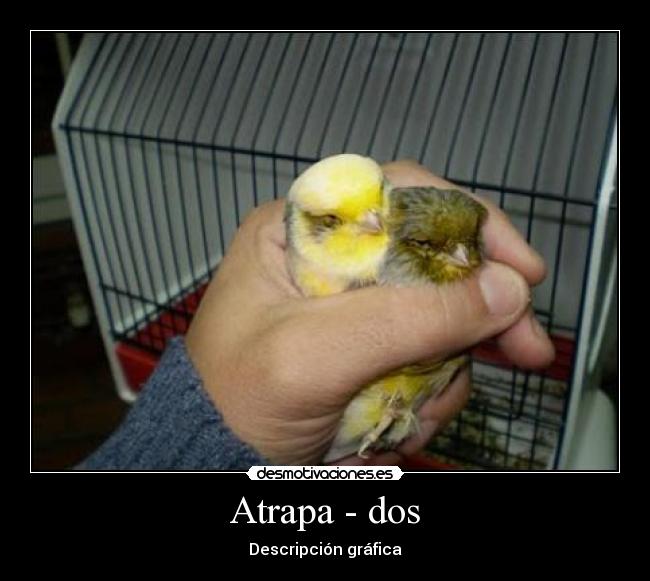 Atrapa - dos -