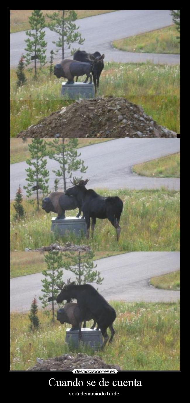 Cuando se de cuenta -