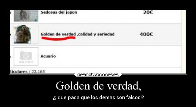 Golden de verdad, -