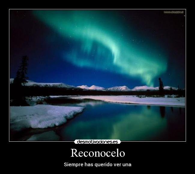 Reconocelo - 