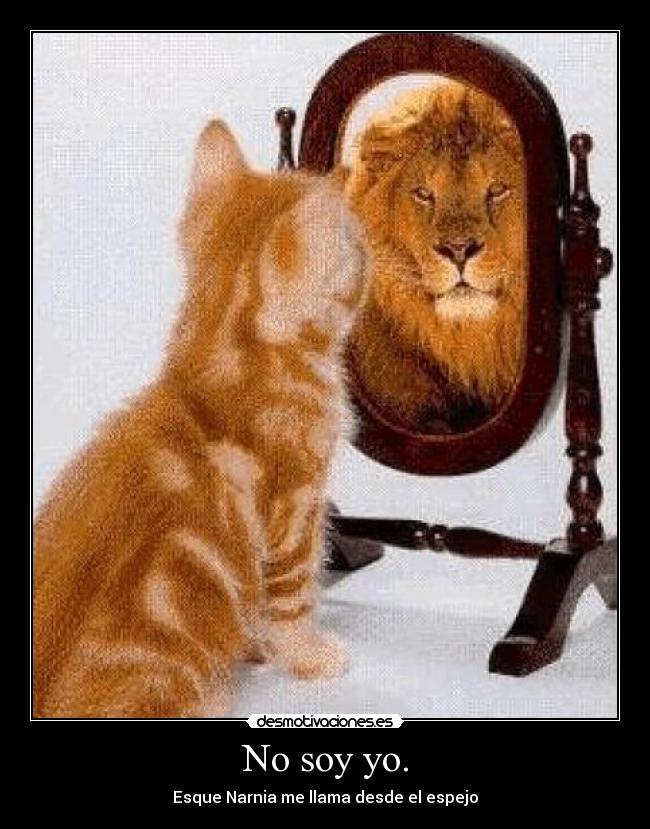 No soy yo. - 