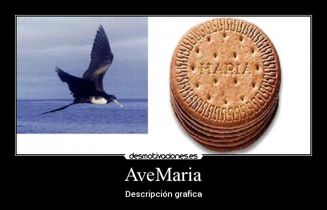 AveMaria - 