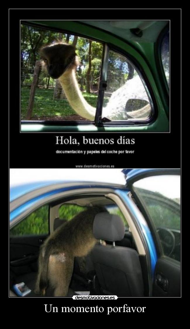 Un momento porfavor - 