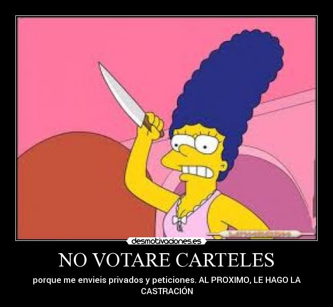 NO VOTARE CARTELES -