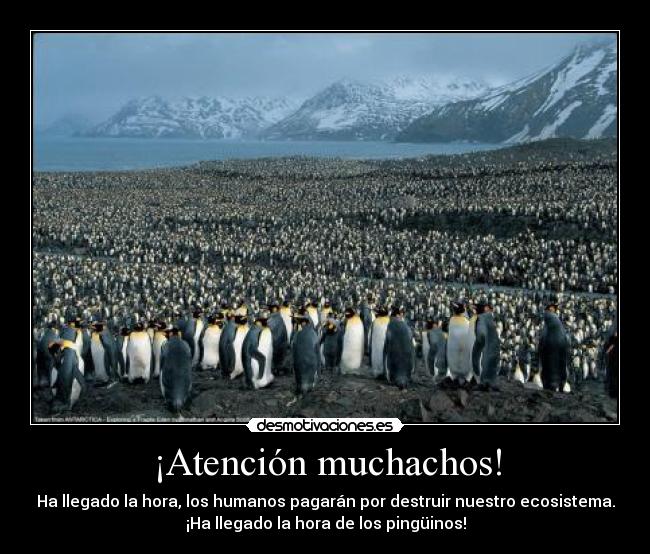 ¡Atención muchachos! - Ha llegado la hora, los humanos pagarán por destruir nuestro ecosistema.
¡Ha llegado la hora de los pingüinos!