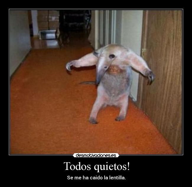 Todos quietos! -