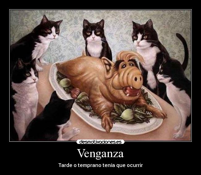 Venganza - Tarde o temprano tenía que ocurrir