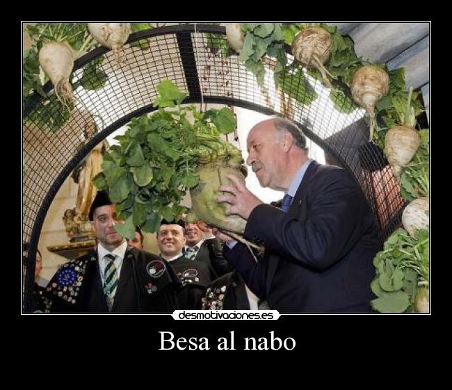 Besa al nabo -