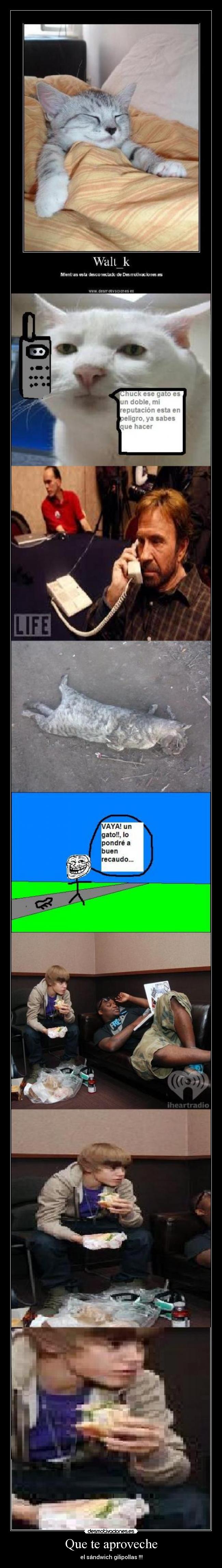 Que te aproveche - el sándwich gilipollas !!!