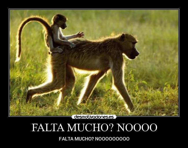 FALTA MUCHO? NOOOO -