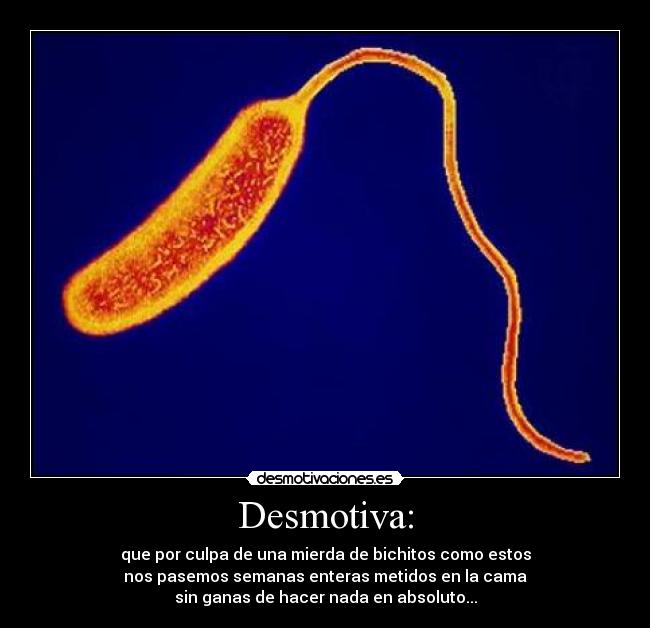 Desmotiva: - 