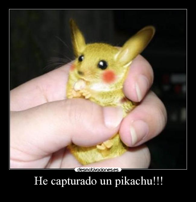 He capturado un pikachu!!! - 