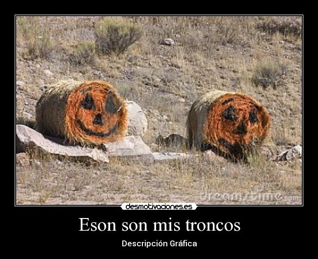 Eson son mis troncos - Descripción Gráfica