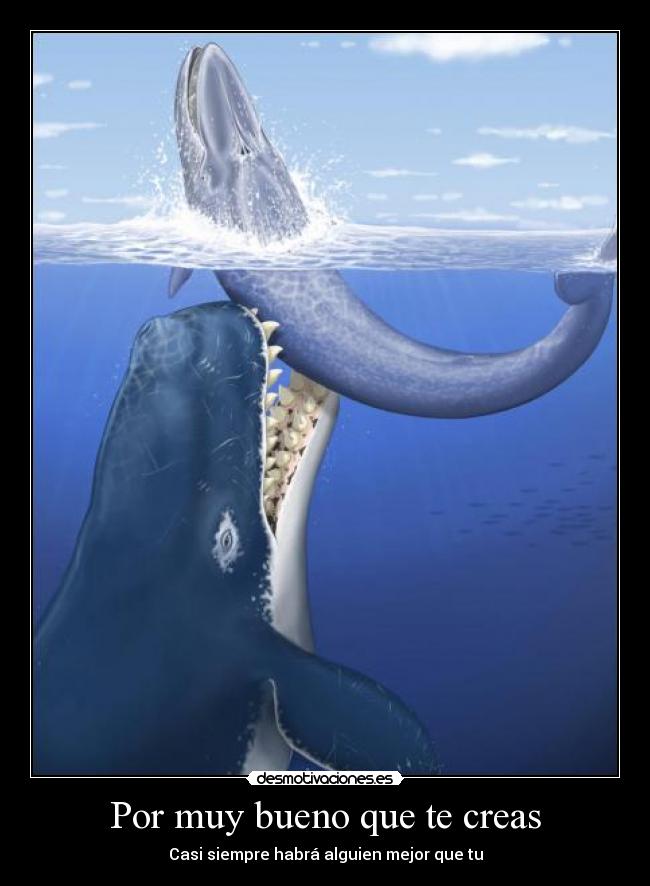 Por muy bueno que te creas - Casi siempre habrá alguien mejor que tu