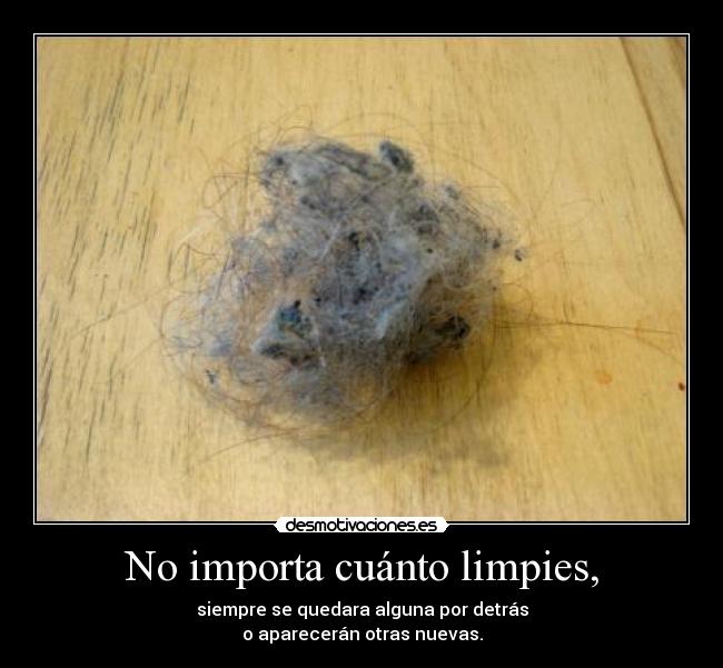 No importa cuánto limpies, -