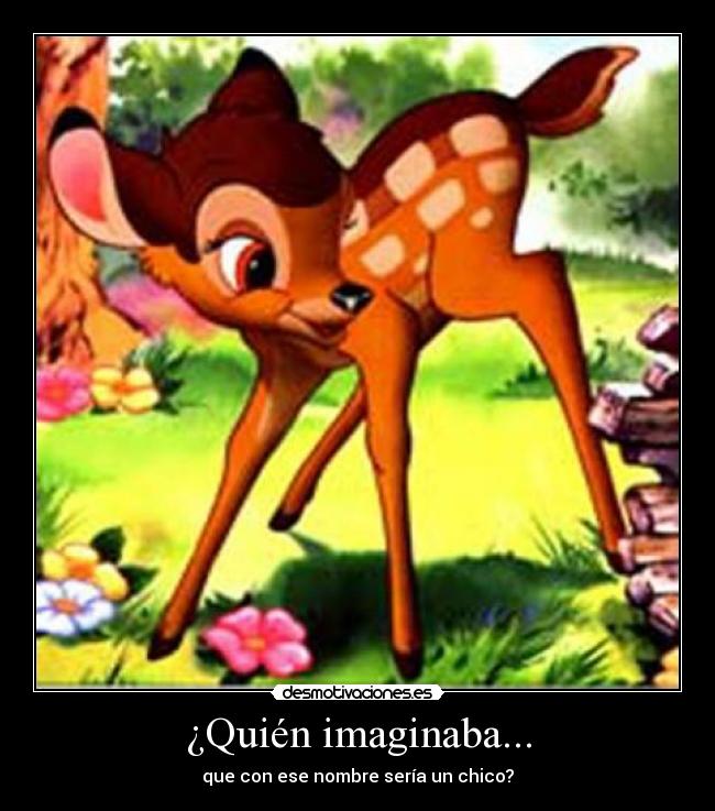 ¿Quién imaginaba... - 