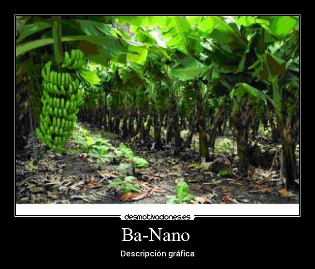 Ba-Nano - Descripción gráfica