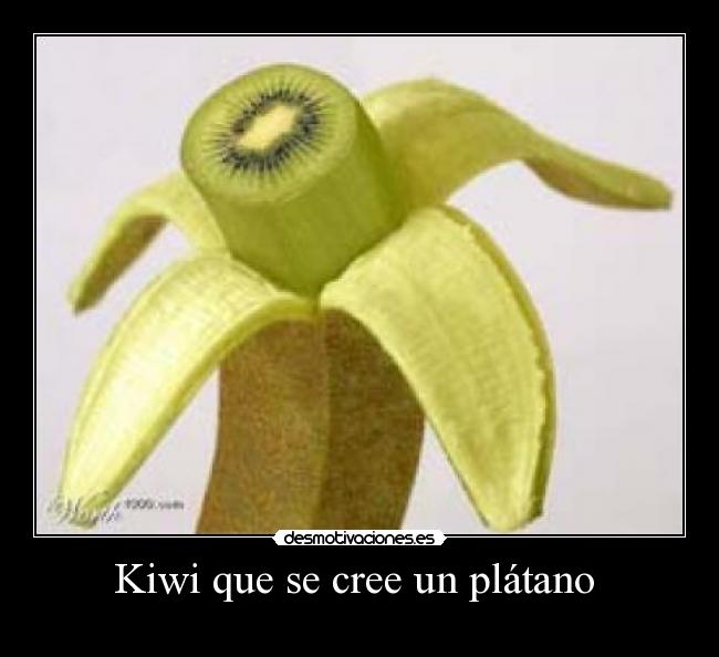carteles kiwi desmotivaciones