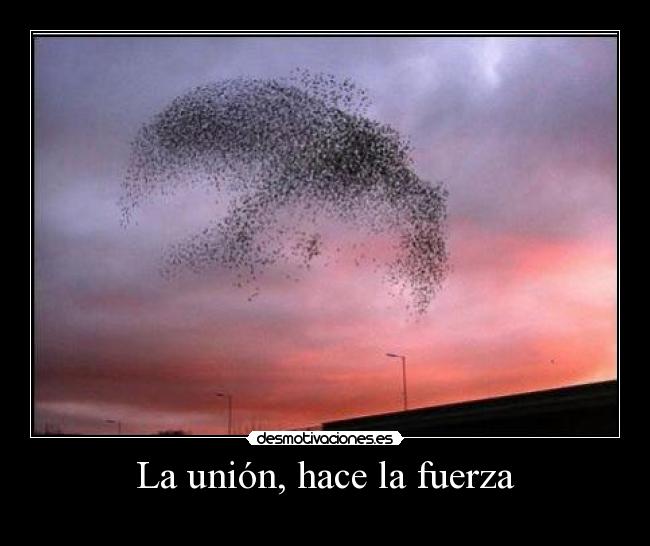 La unión, hace la fuerza -